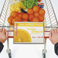 Trolley Poster Systems-TP-RPP 007-01/R